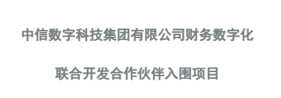 中信数科财务信息化
